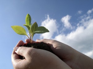 Planting New Skills. Start Planning and Developing New Skills Today.